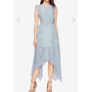 BCBG Jann Floral Print Dress